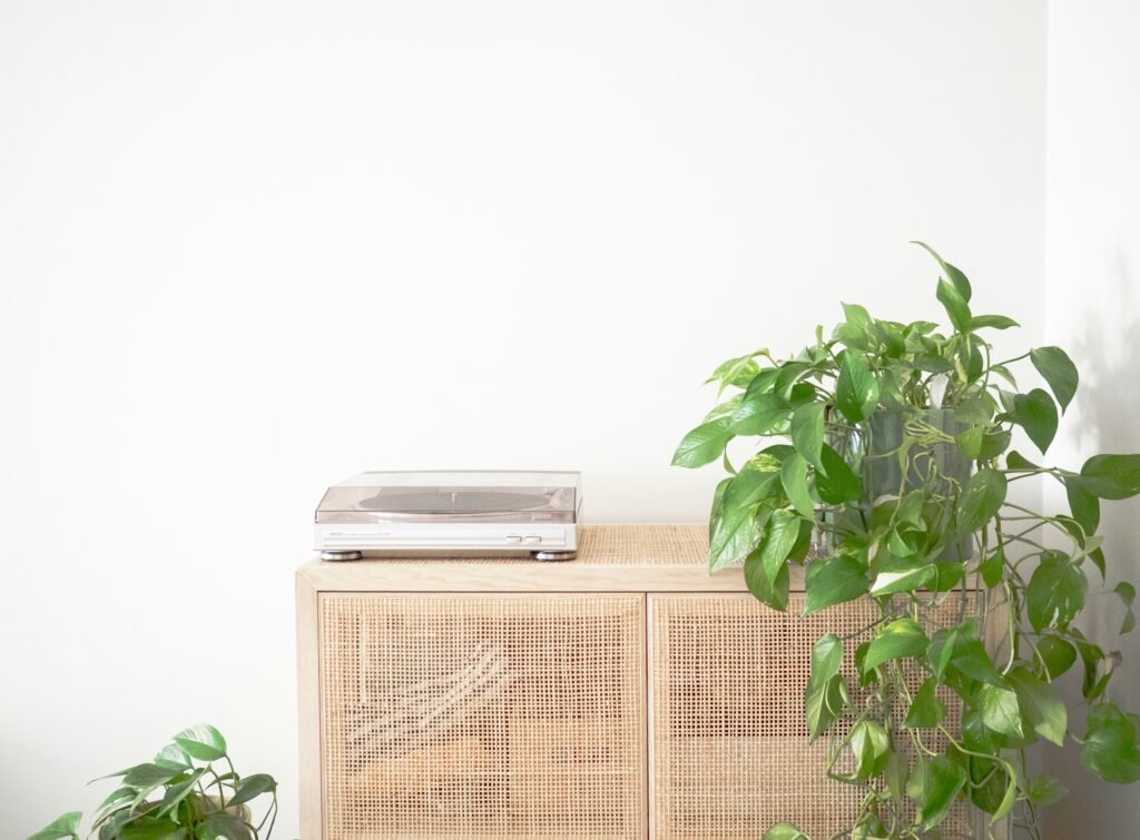 white split type air conditioner beside green plant